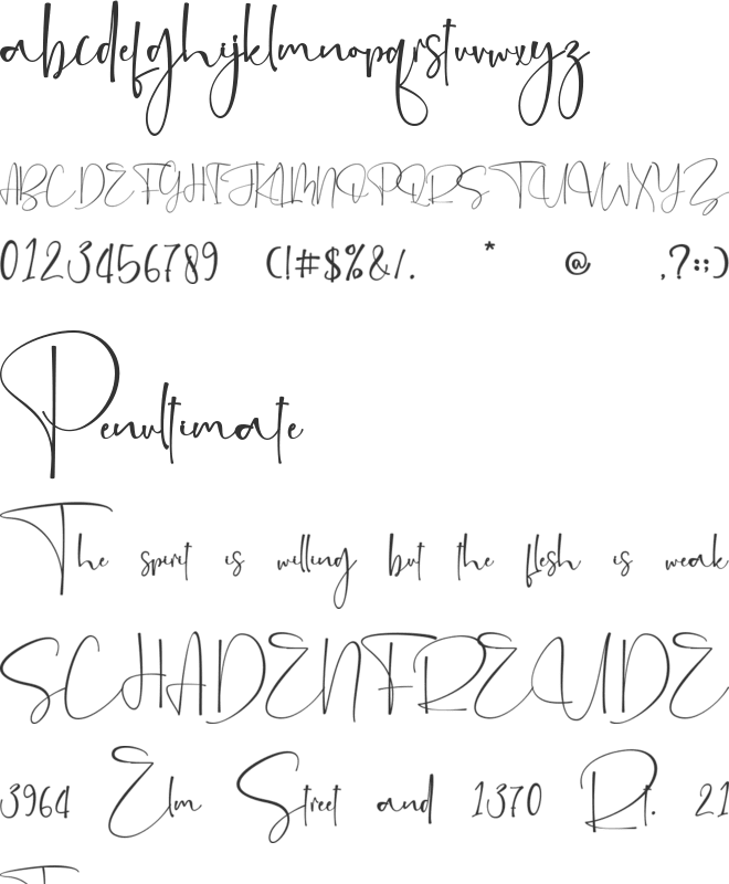 Brillianissa - Personal Use font preview