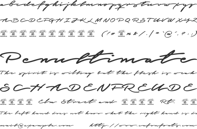 Graced Script PERSONAL USE font preview