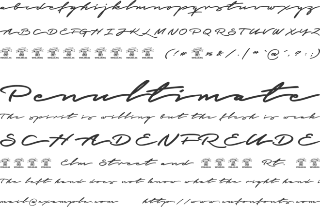 Graced Script PERSONAL USE font preview