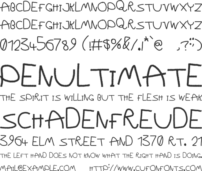 Wild Show font preview