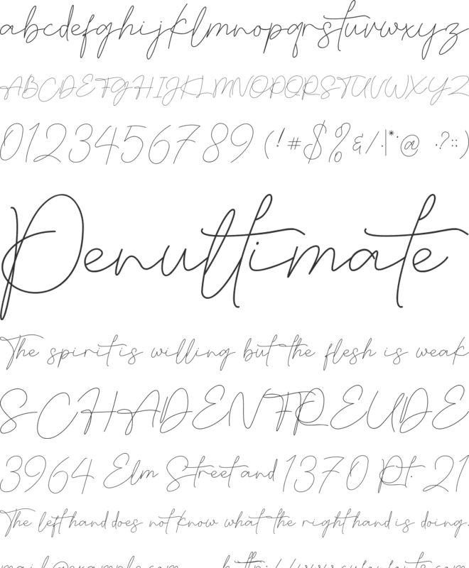 LonglifeMom font preview