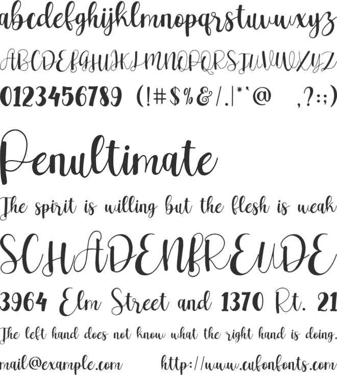 Beautiful Flower font preview