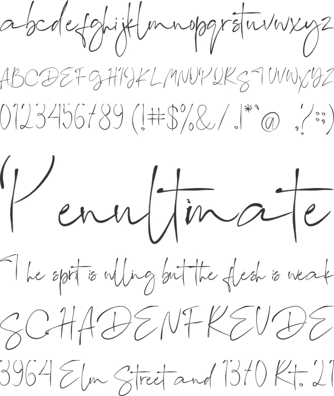 Angella font preview