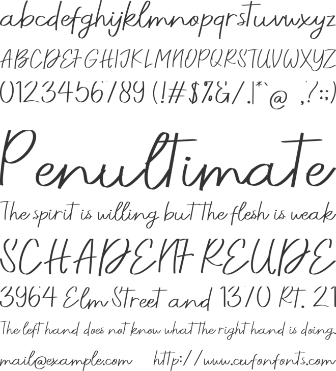 Beautiful Beach font preview