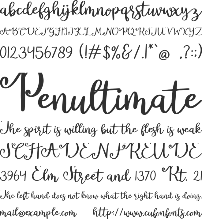 Black Bee font preview