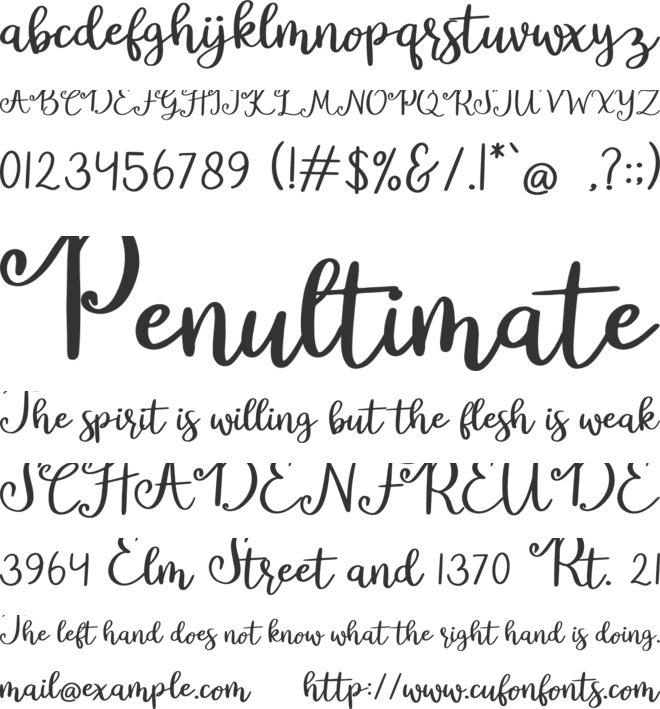 Black Bee font preview