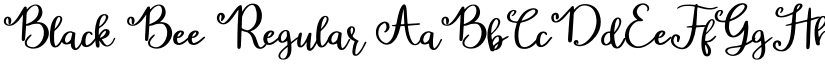 Black Bee Regular font