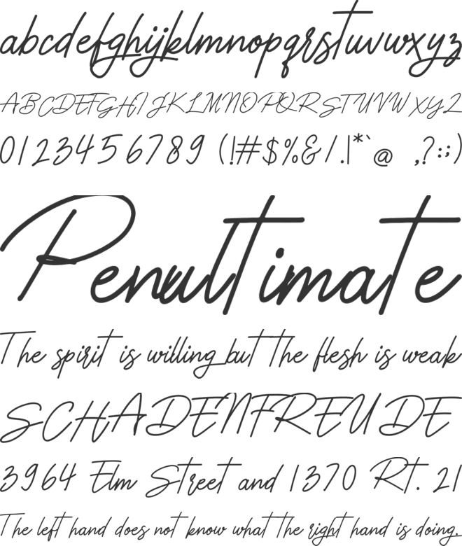 Symphony font preview