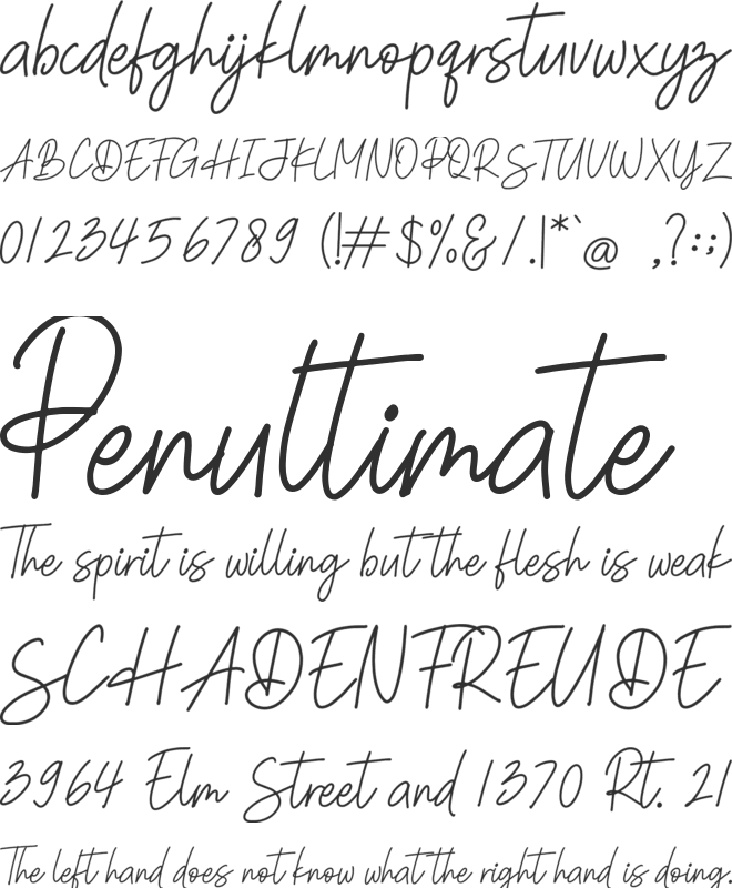 Summer Signature font preview