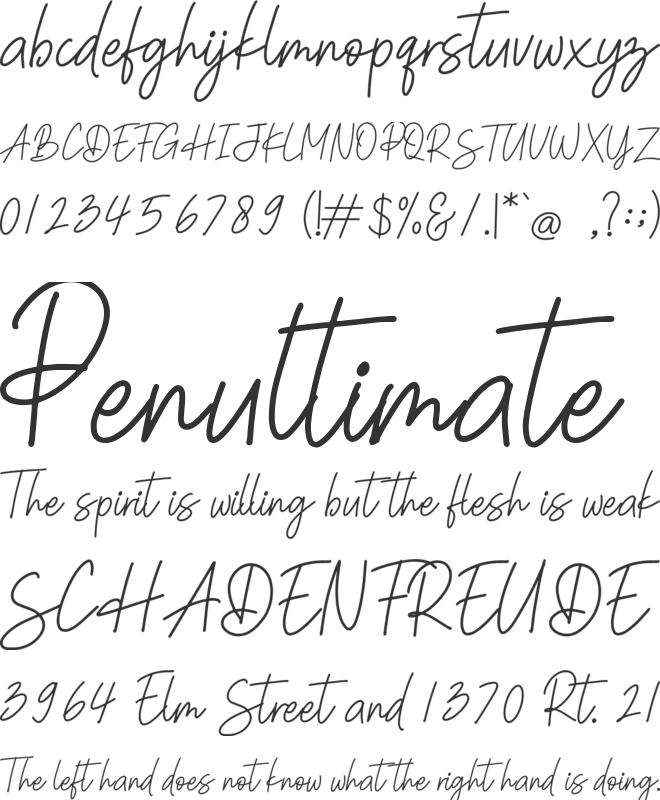Summer Signature font preview