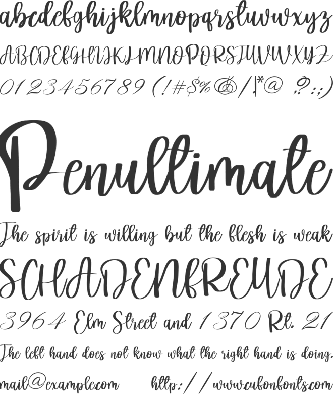 Butterfly font preview