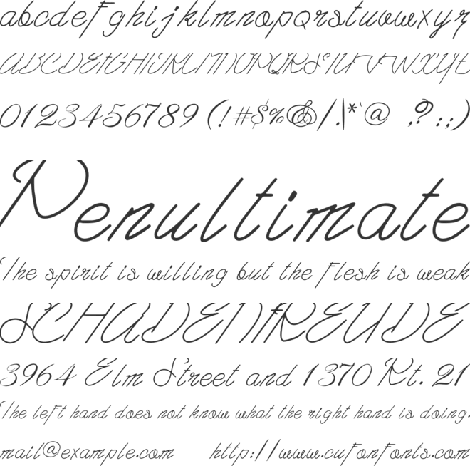 Photography font preview