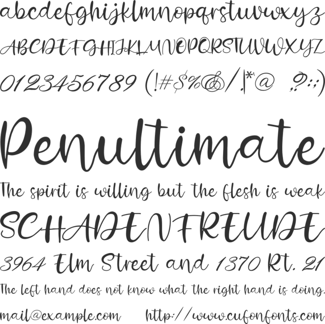Shelly font preview