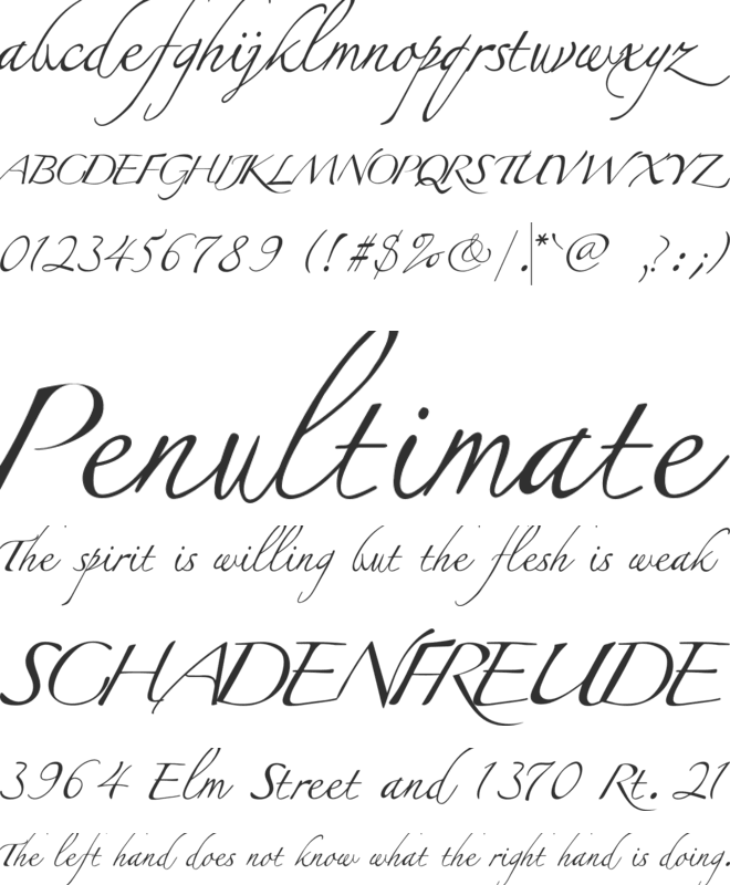 Wedding font preview