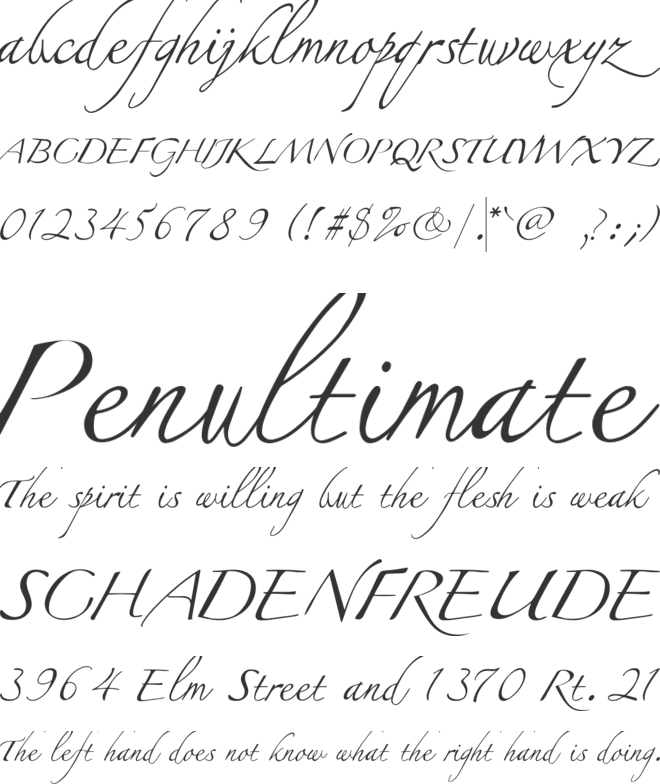 Wedding font preview