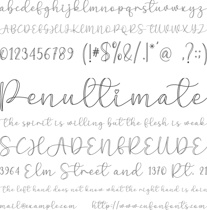 Wedding Valentine font preview
