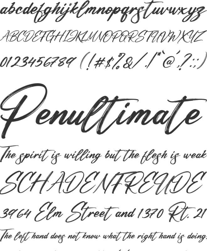 Patterson Southern font preview
