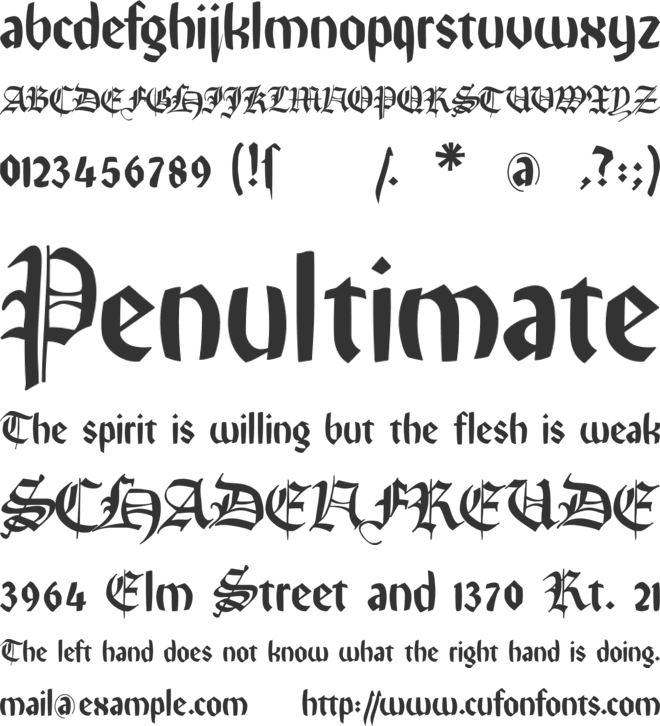 Remember Reiner FS font preview