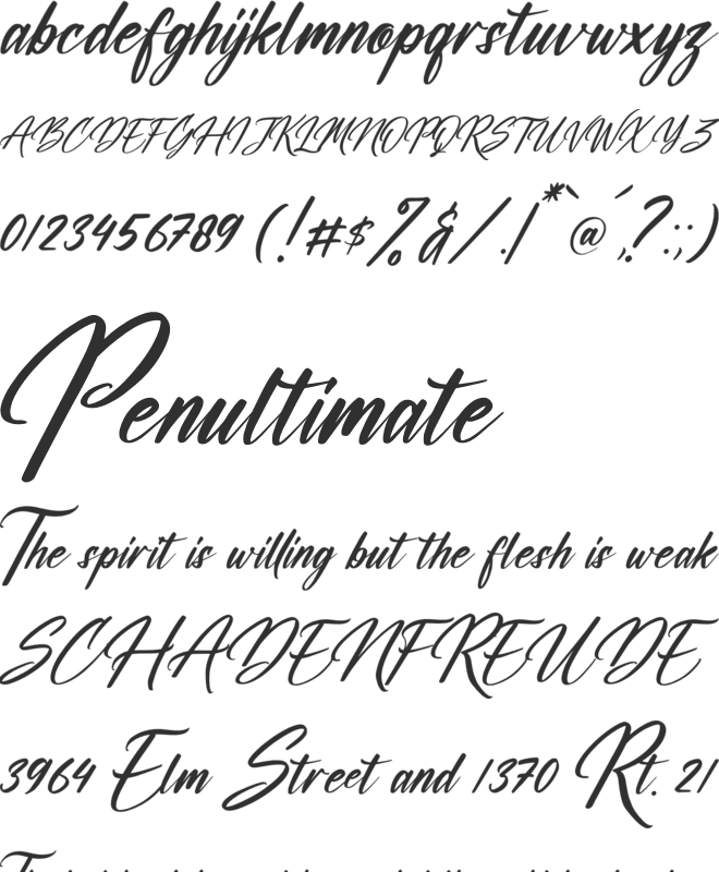 Washington Calligraphy font preview