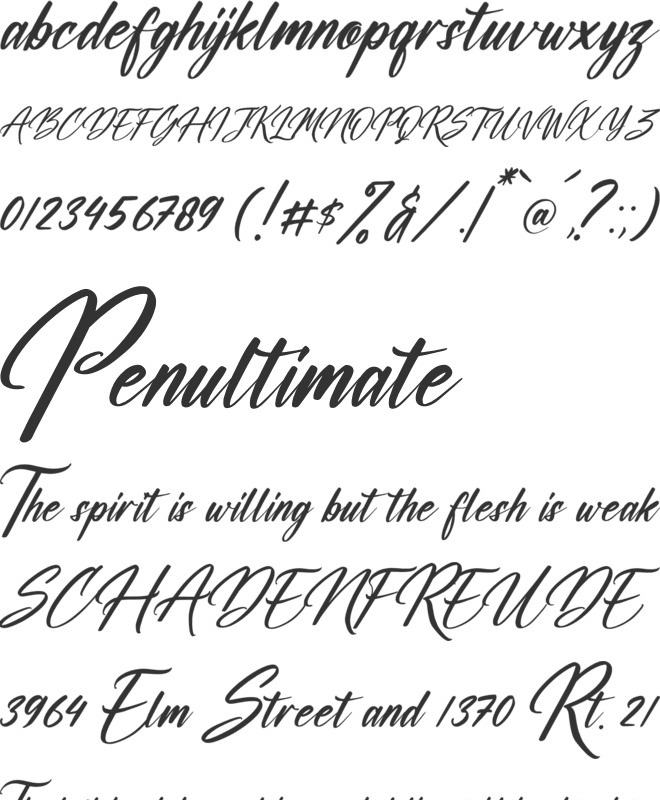 Washington Calligraphy font preview