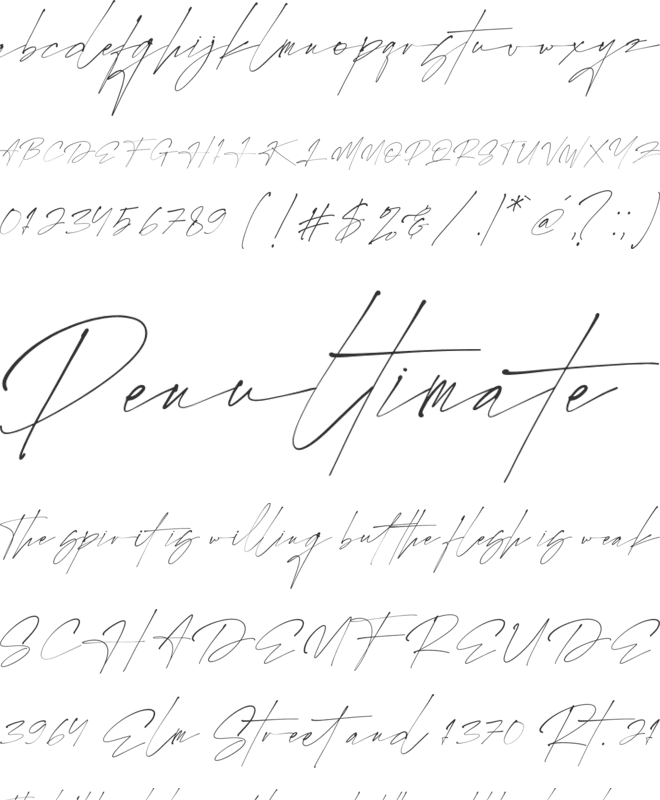 Rostera Signature font preview