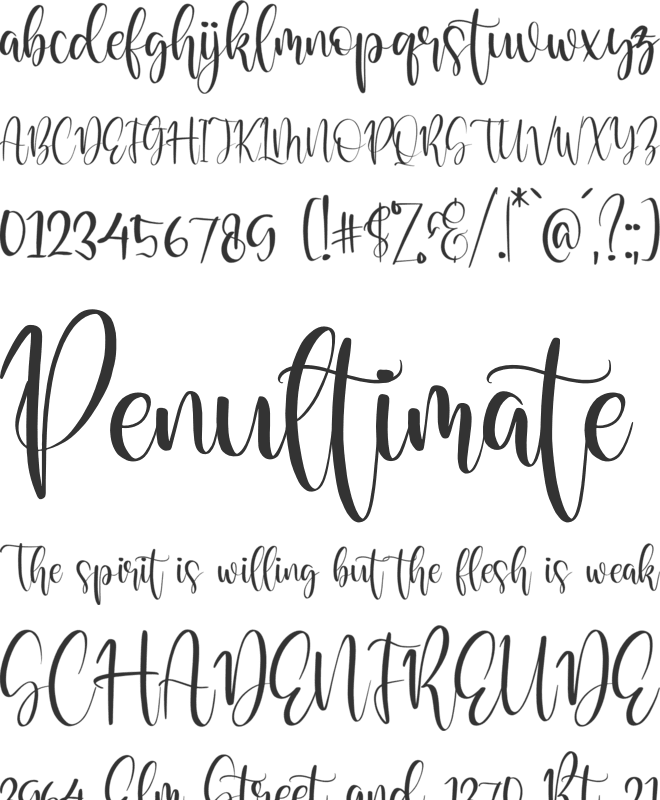 Raflestta Elisha font preview