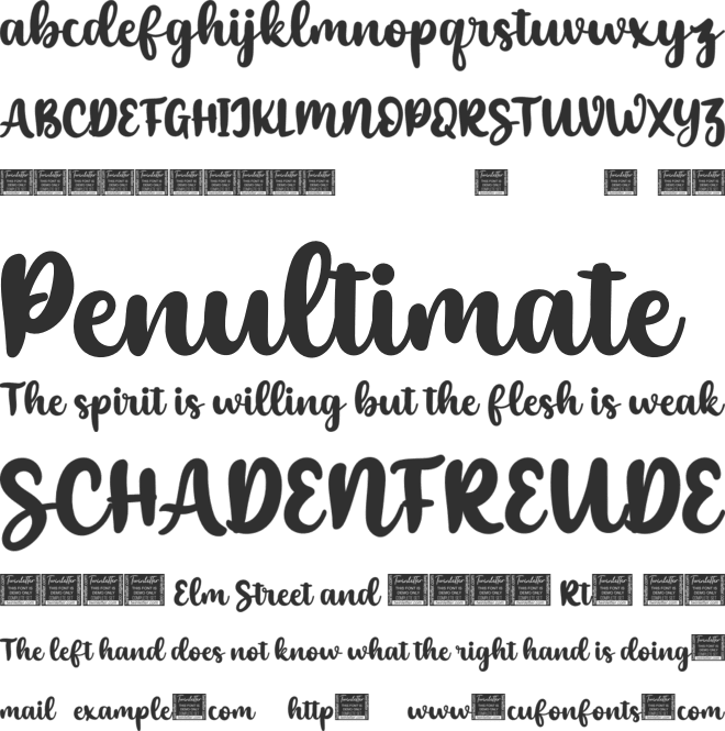 Shyness font preview