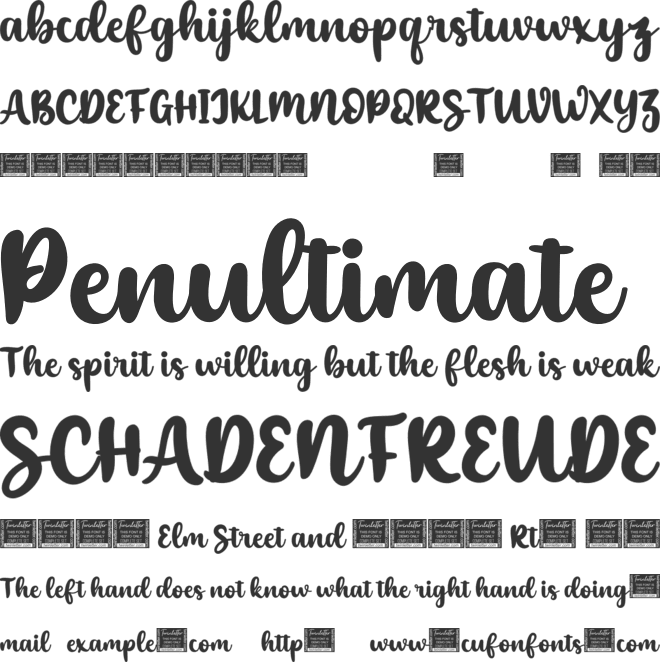 Shyness font preview