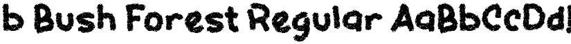 b Bush Forest Regular font