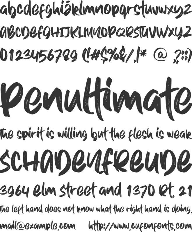 Winter Dreams font preview