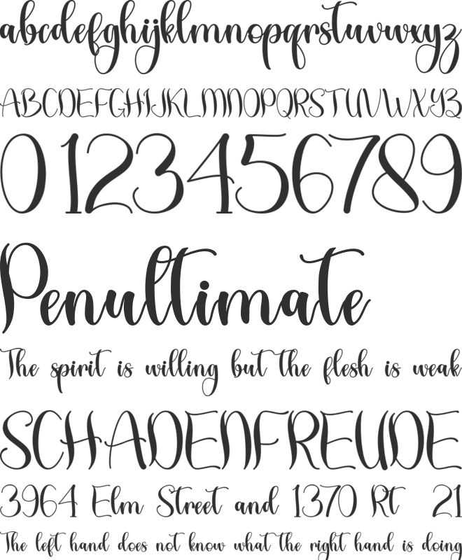Tropical Leaves - Personal Use font preview