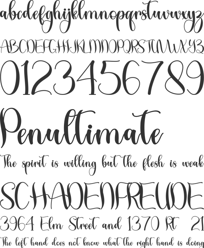 Tropical Leaves - Personal Use font preview