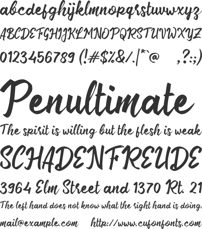 b Bikin Coffee font preview