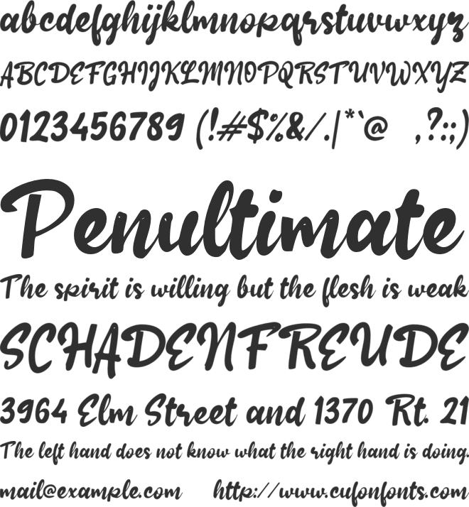 b Beetroot Smoothies font preview