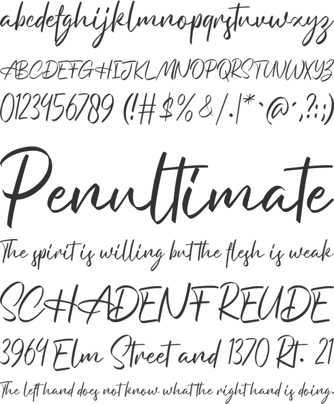 Niquitta Mirzani font preview