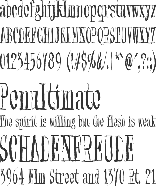 Synonym Blank font preview