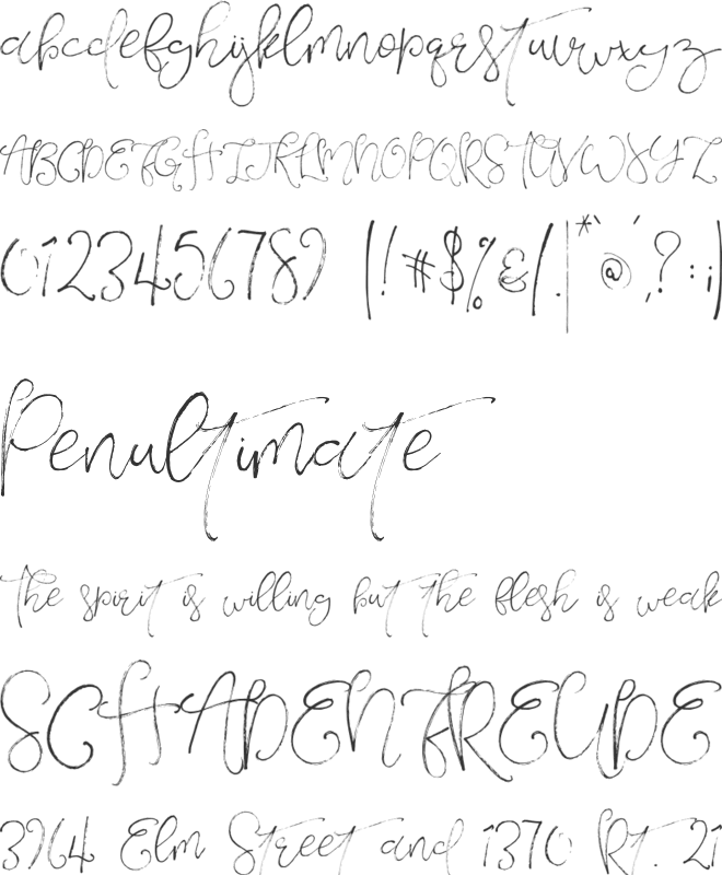 Verona Lotte font preview