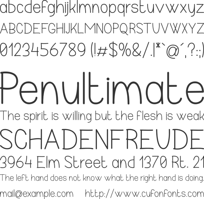 Realize My Passion font preview