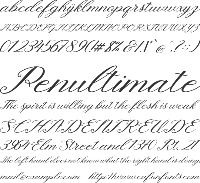 Newline font preview