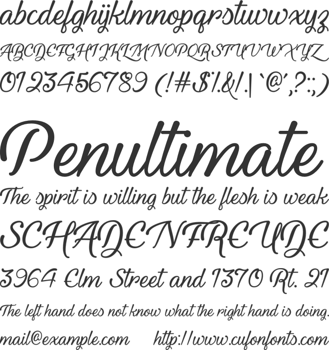 Youth and Beauty font preview