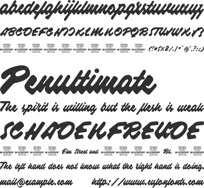 Raspberry Script PERSONAL USE font preview