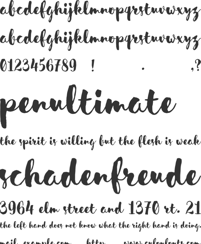 Sensa Brush font preview
