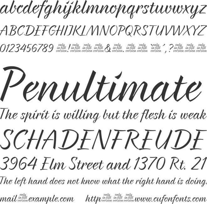 Braxton font preview