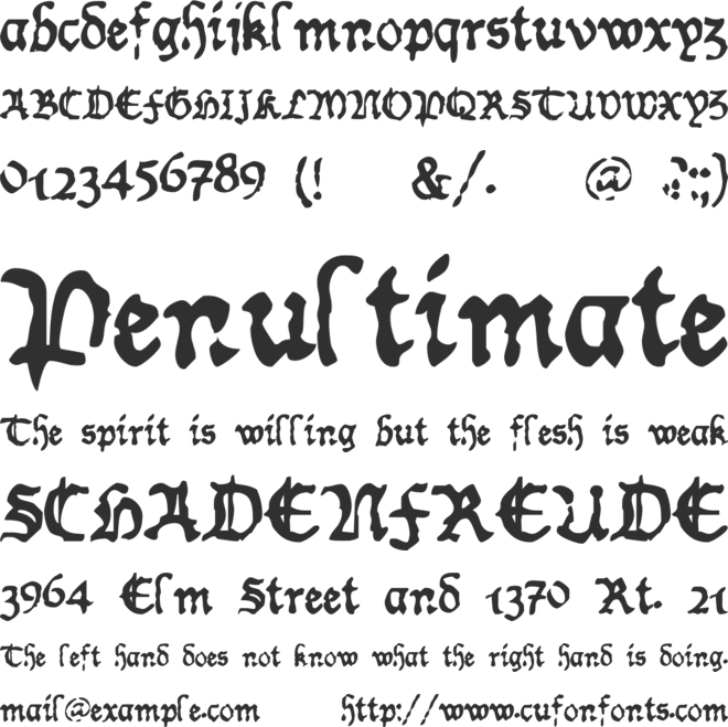 Worn Manuscript Rough font preview