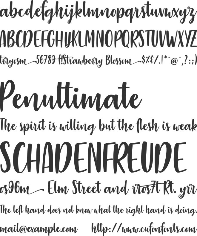 Strawberry Blossom font preview