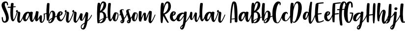 Strawberry Blossom Regular font