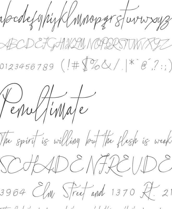 the standing still font preview