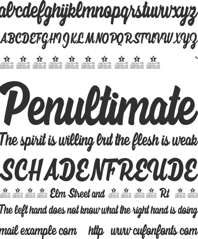 Megan Personal Use font preview