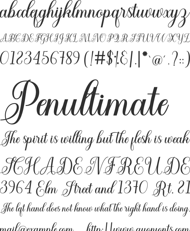 CuttauriScript font preview