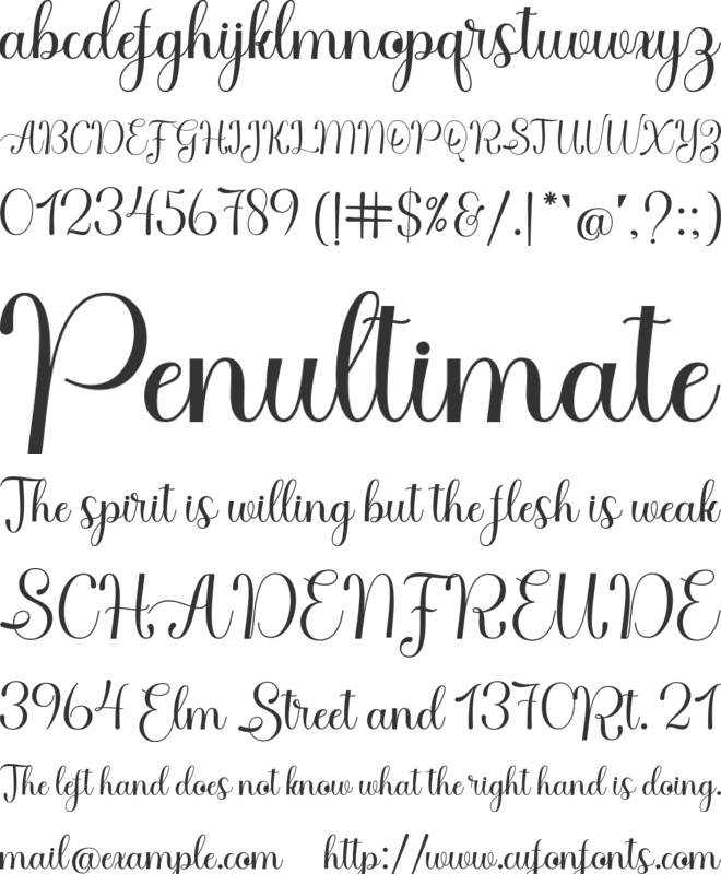 Chigoda Script font preview